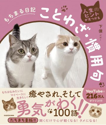 もちまる